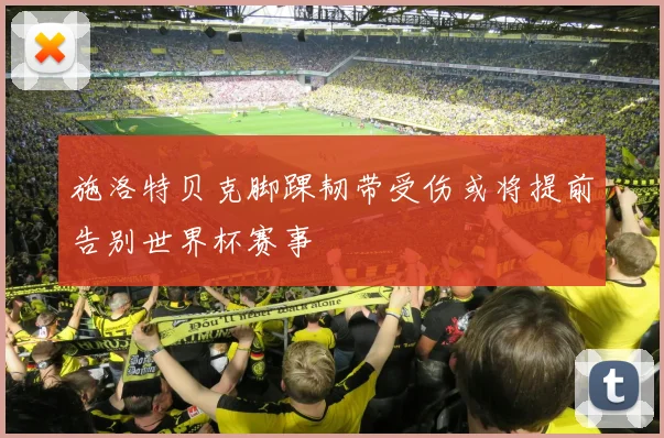 施洛特贝克脚踝韧带受伤或将提前告别世界杯赛事